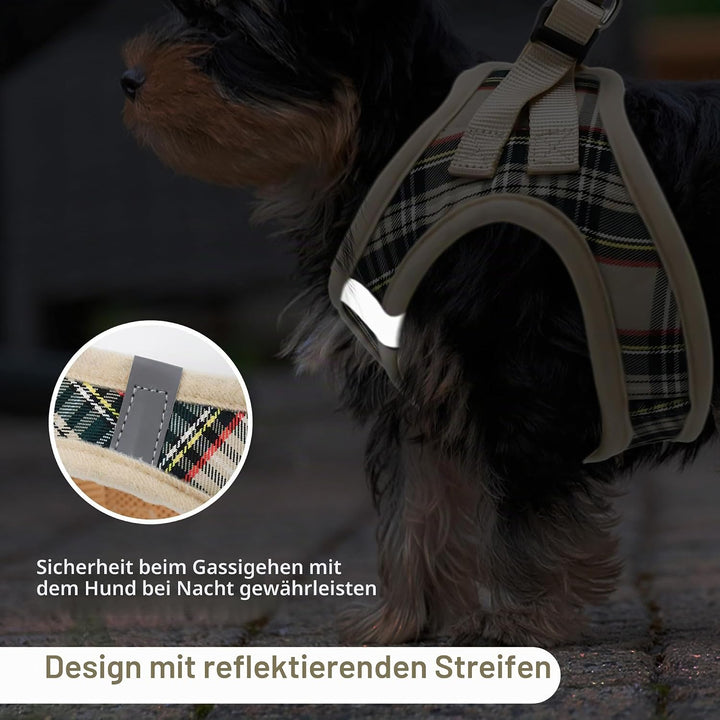 Step-in Hundegeschirr Kleine Hunde mit Leine Anti-Zug Verstellbar Weiches Netzgewebe Welpengeschirr