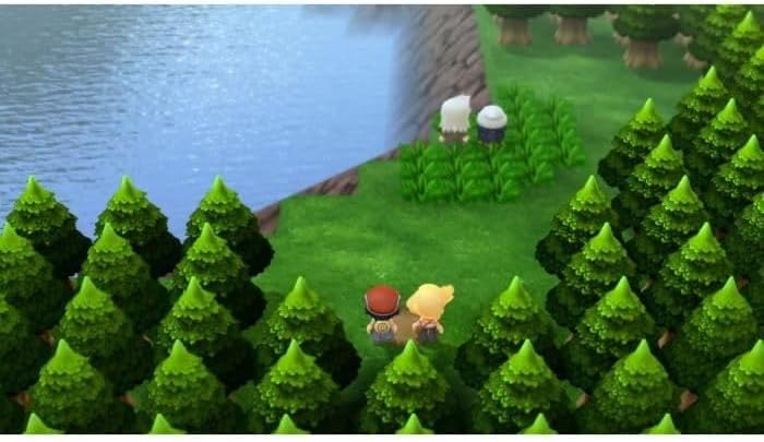 NINTENDO FRANCE SARL Pokemon, Diamant, Verzierung, Swi V