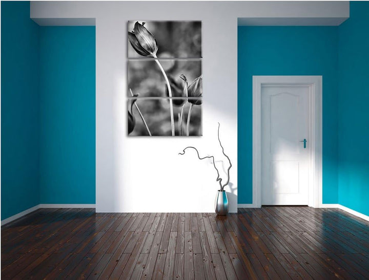 Pixxprint Tulpen im Abendlicht als Leinwandbild/Grösse: 3 Teilig (120x80) cm/Wandbild/Kunstdruck/fer
