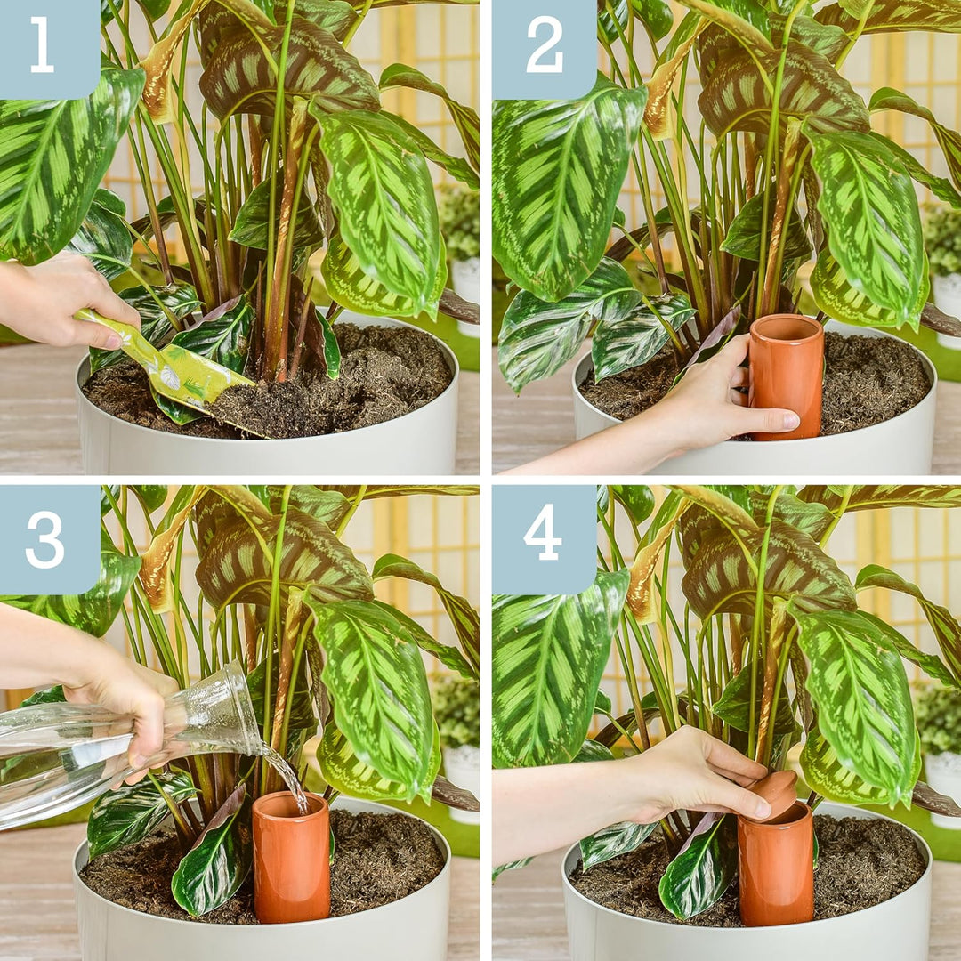 Terracotta Bewässerungshilfe handgefertigt | Giesshilfe modern | Pflanzenbewässerung ohne Strom (3 x