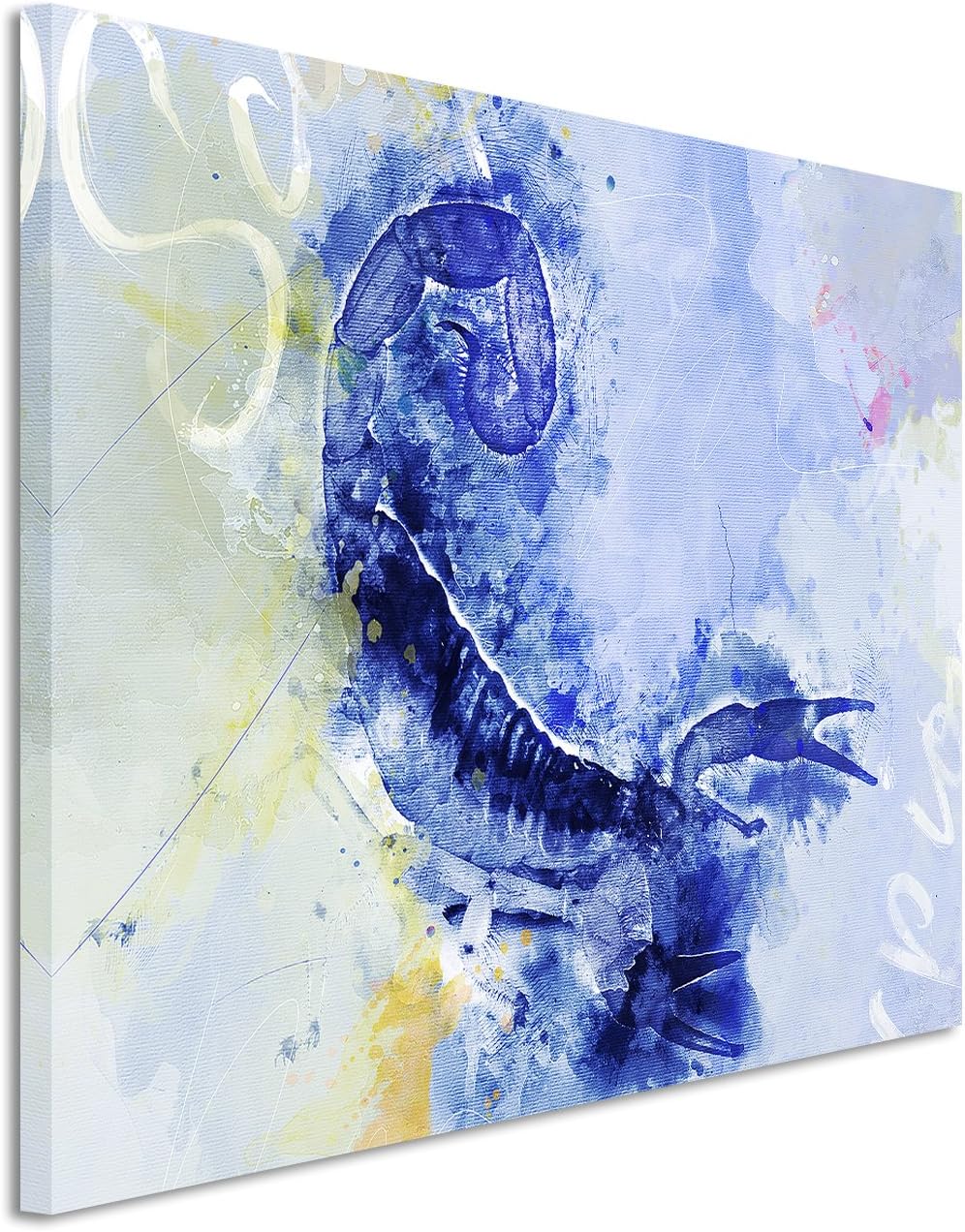 Paul Sinus Art Bild Leinwand 120x80cm Skorpion im Angriffsmodus mit Kalligraphie, 120x80cm