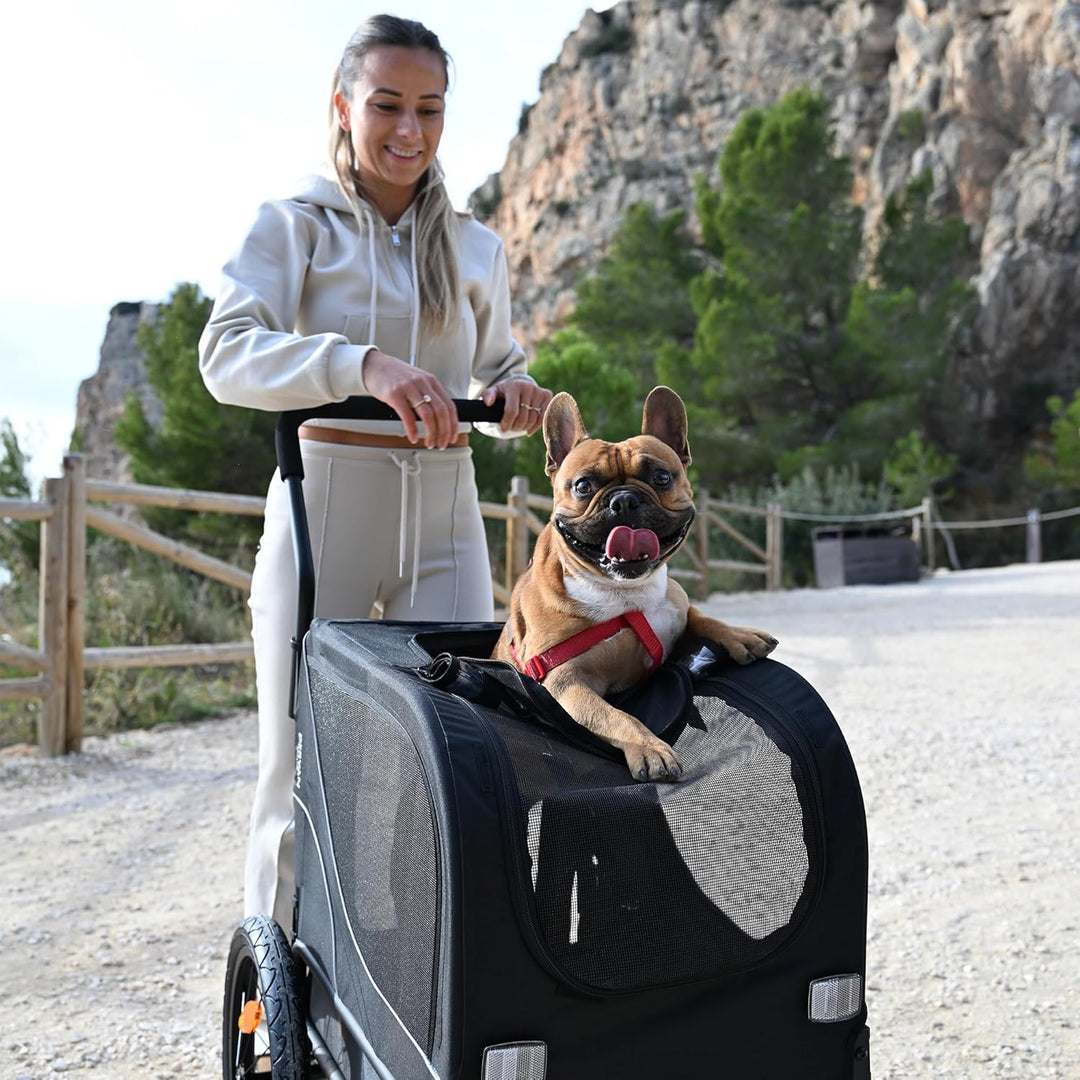 Hundefahrradanhänger 2-in-1 für Hunde – Fahrradanhänger, Jogger & Buggy – Zusammenklappbar & Multifu