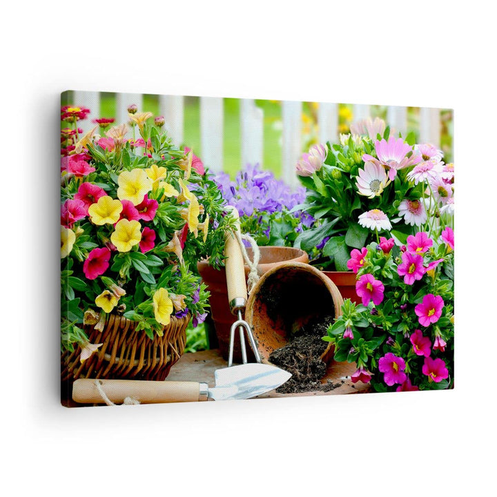 Bilder auf Leinwand Pflanzen Garten Frühling Natur Leinwandbild 70x50cm Wandbilder Dekoration Wohnzi
