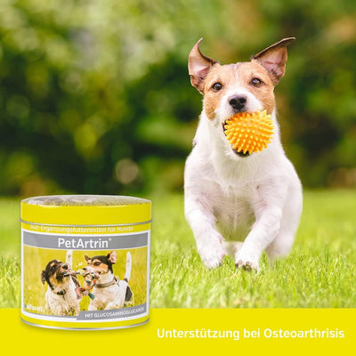 Alfavet PetArtrin, Ergänzungsfutter für Hunde, unterstützt Gelenke, Gelenkstoffwechsel bei Osteoarth