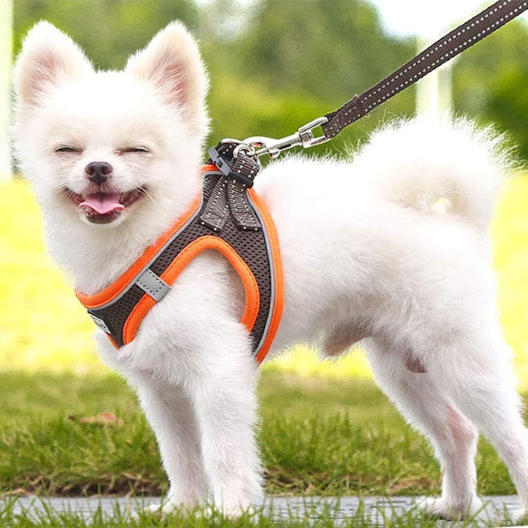 Hundegeschirr mit Leine Anti Zug Geschirr Reflektierend Brustgeschirr für Kleine Hunde, Haustiere, W