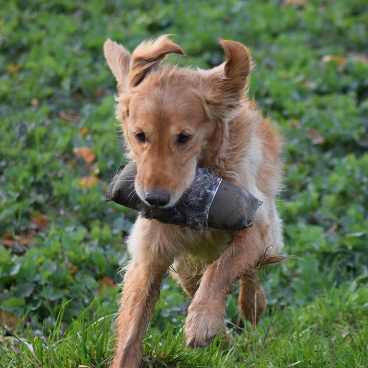Firedog Dummy mit echtem Kaninchenfell - Robustes Wild-Dummy Apportel für das Hundetraining (Gewicht