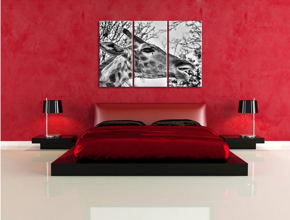 Pixxprint anmutige Giraffe isst als Leinwandbild/Grösse: 3 Teilig (120x80) / Wandbild/Kunstdruck/fer