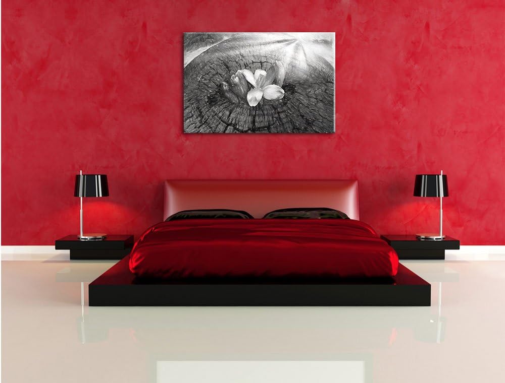 Pixxprint Die Kraft der Natur Kunst als Leinwandbild/Grösse: 100x70 cm/Wandbild/Kunstdruck/fertig be