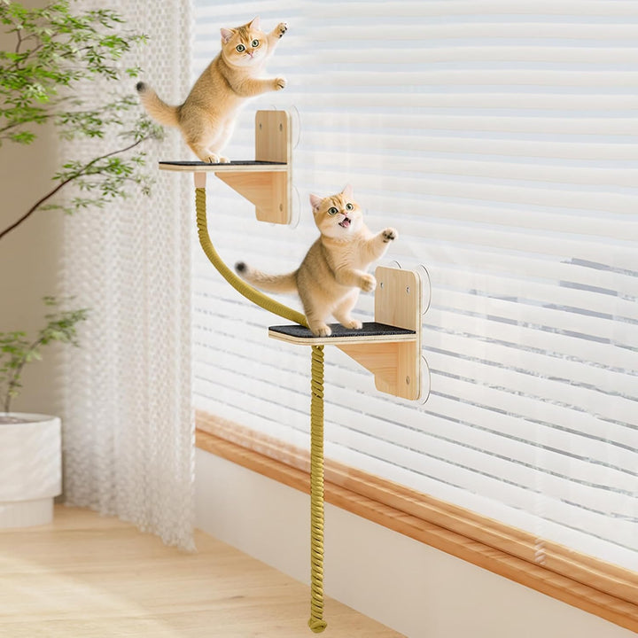 Wandregale Für Katzen-Platzsparendes Wandregal für Katzen mit Halterung,Kletterwand mit Liegeplatz,