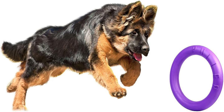 Puller Standard, 2 Stück, Spielringe, Fitnessgerät für Hunde, Interaktives Spielzeug für Hunde,Wasse
