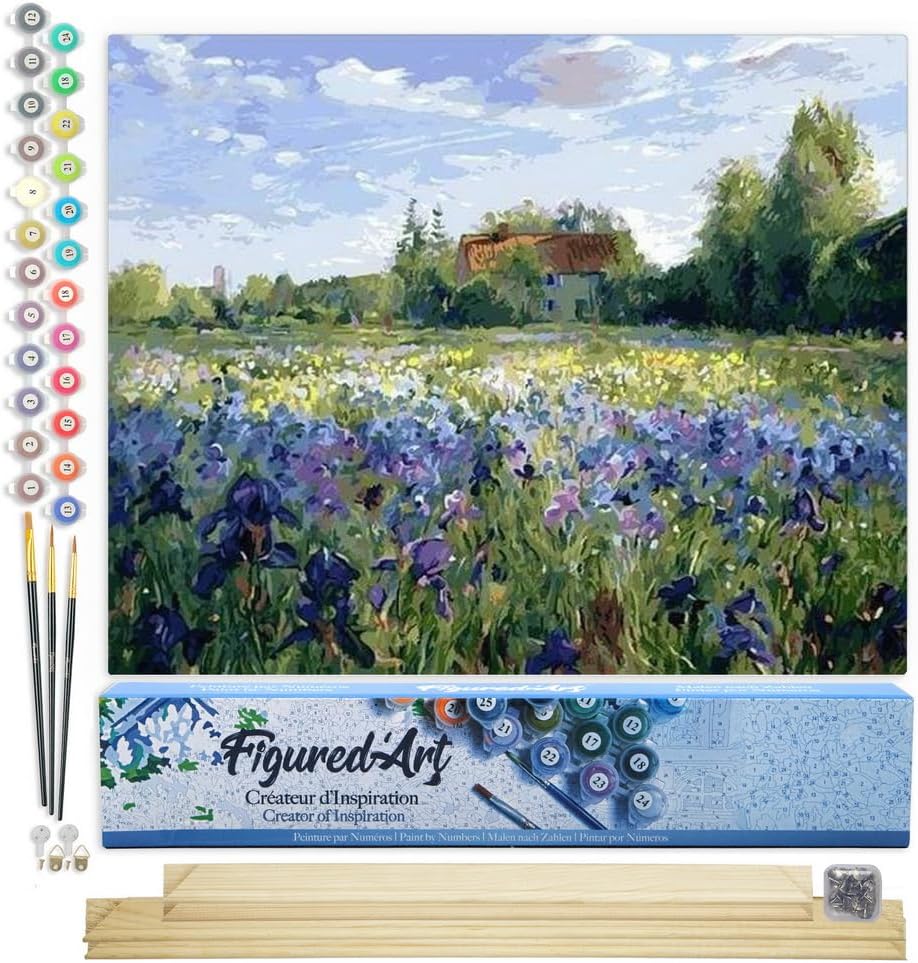 Figured'Art Malen Nach Zahlen Erwachsene Mit Rahmen Auf dem Land - Paint by Numbers Basteln DIY Bast
