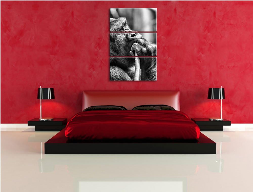 Pixxprint Gorilla isst als Leinwandbild/Grösse: 3 Teilig (120x80) cm/Wandbild/Kunstdruck/fertig besp