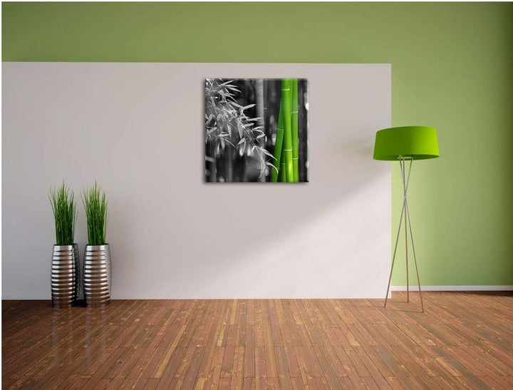 Pixxprint frischer Bambus schwarz/weiss, Format: 70x70 auf Leinwand, 70x70