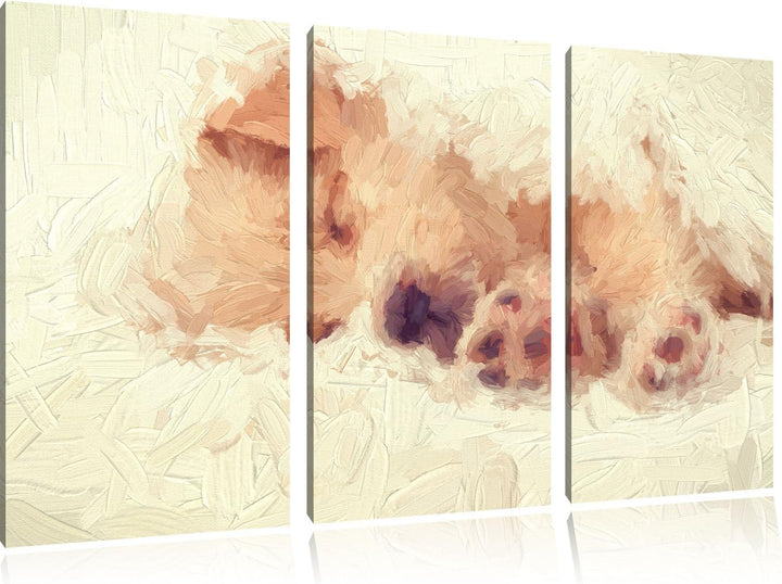 Pixxprint Kleiner schlafender Welpe Kunst als Leinwandbild 3 teilig/Grösse: 3 Teilig (120x80) / Wand