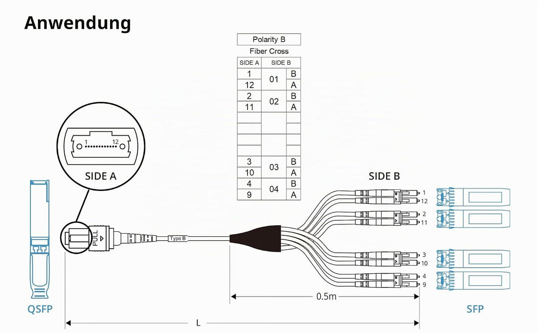 10Gtek Fiber Optic Cable Patch Cord - MPO to 8X LC Fanout Fiber Jumper Cable, OM3 MMF 8-core Fiber,