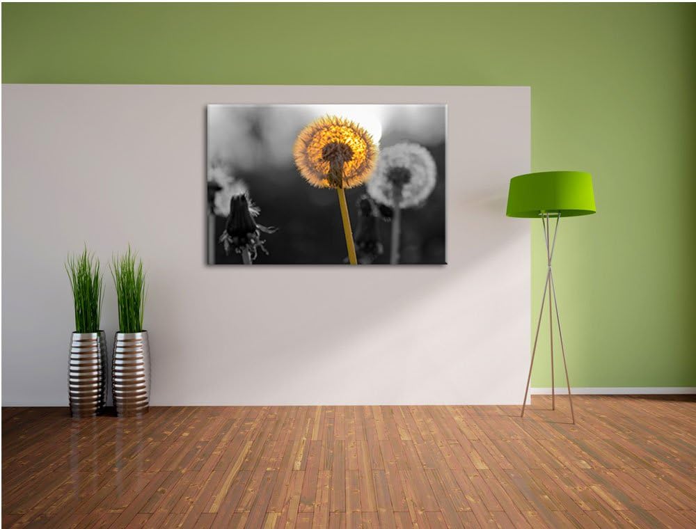 schöne Pusteblumen beim Sonnenuntergang schwarz/weiss Format: 100x70 auf Leinwand, XXL riesige Bilde