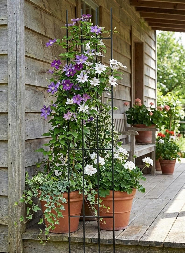 Kapaga - Rankgitter - Rankhilfe Garten - Staudenhalter - Blumenhalter SET 3x (Schwarz) 150 cm x 3, S