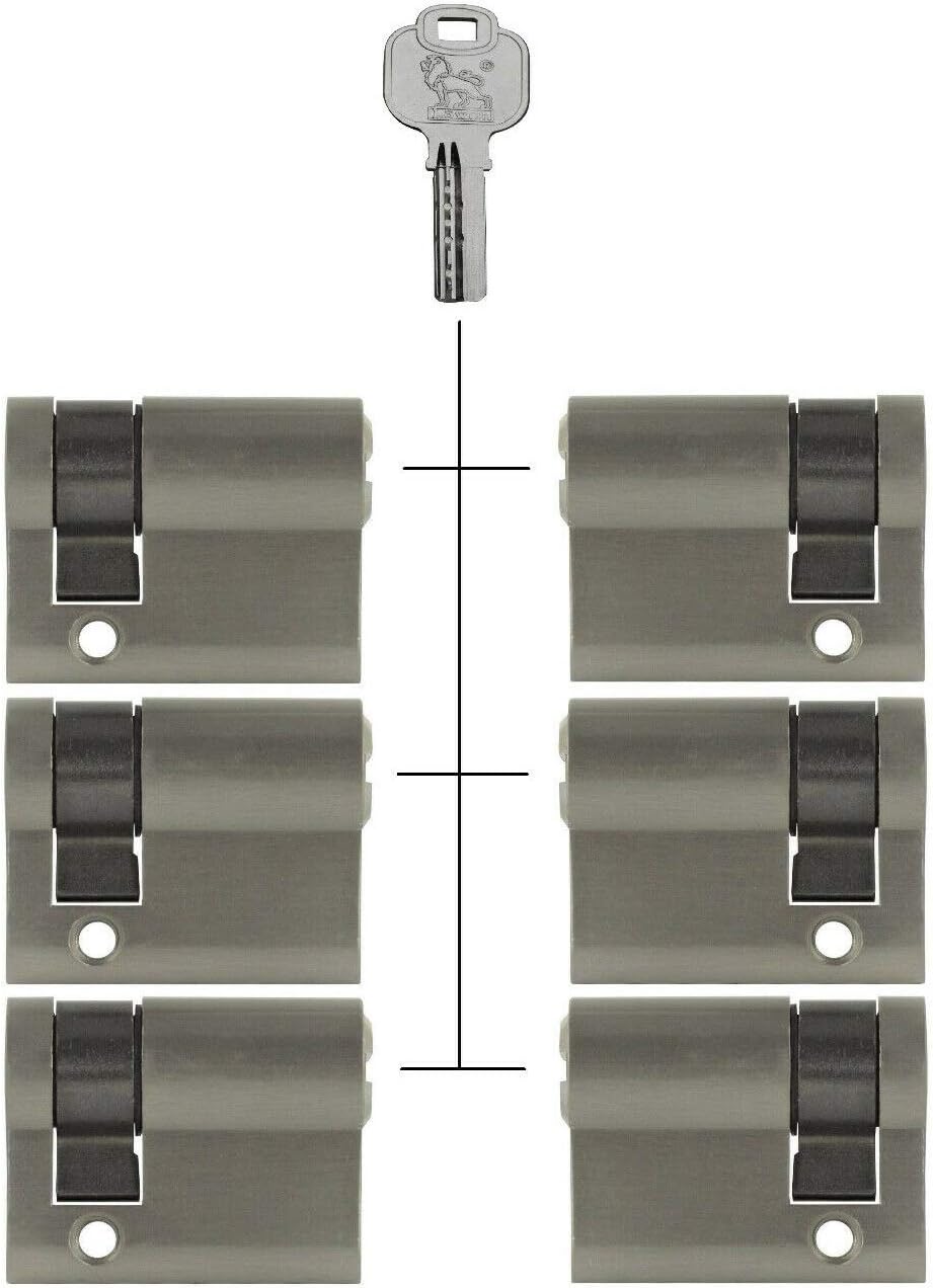 6x Halbzylinder 40 mm 30/10 gleichschliessend inkl. 30