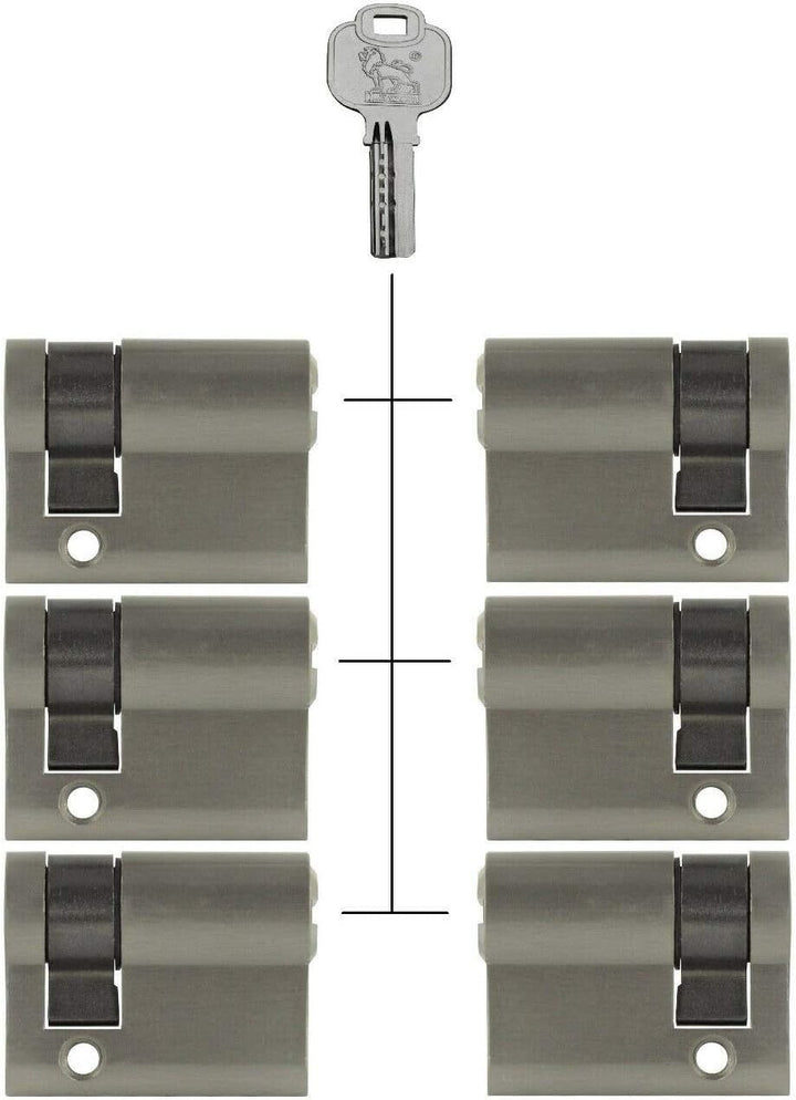 6x Halbzylinder 40 mm 30/10 gleichschliessend inkl. 30