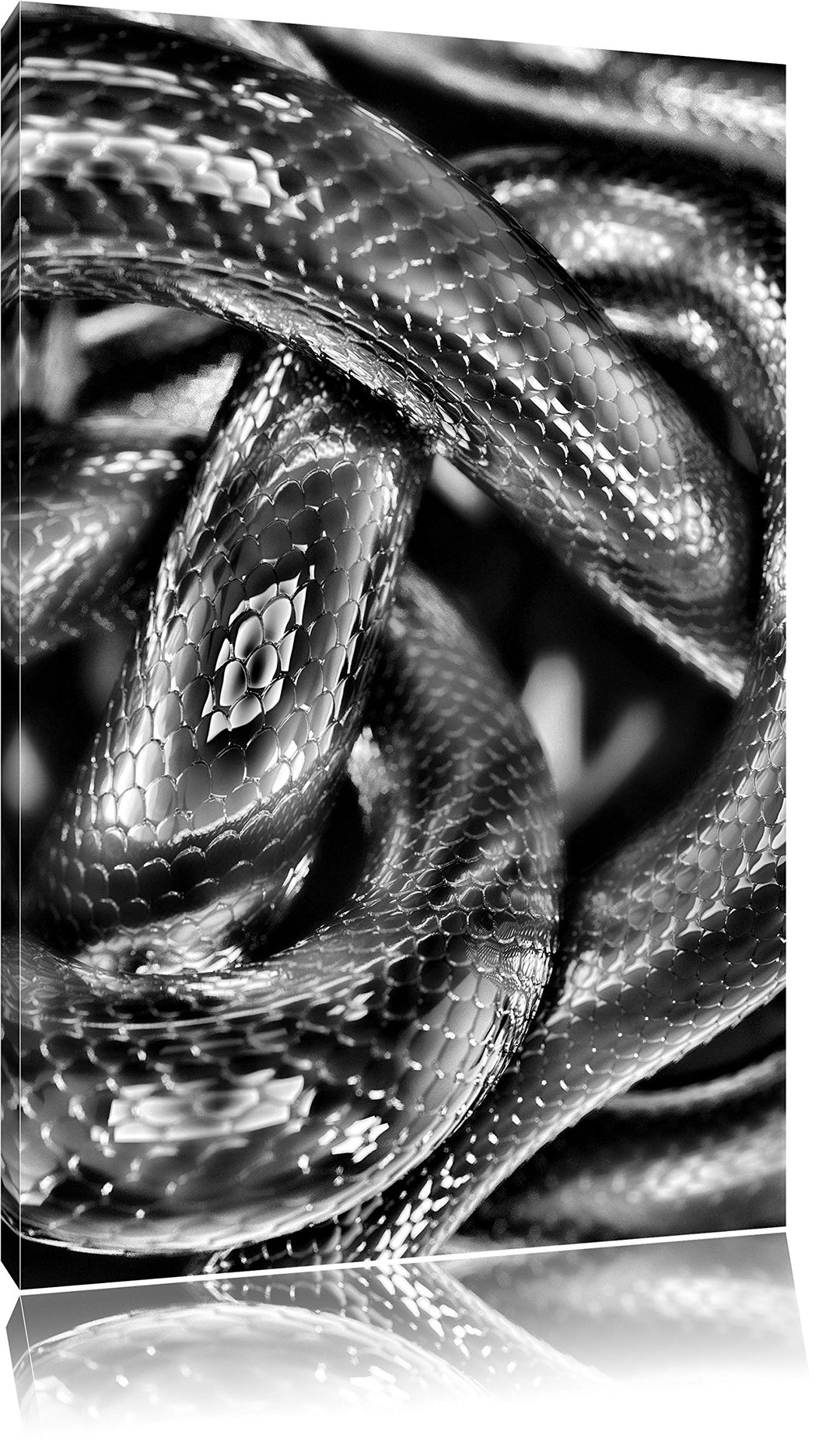 Pixxprint Monocrome, Dark Schwarze Schlangen, Format: 100x70 auf Leinwand, 100x70