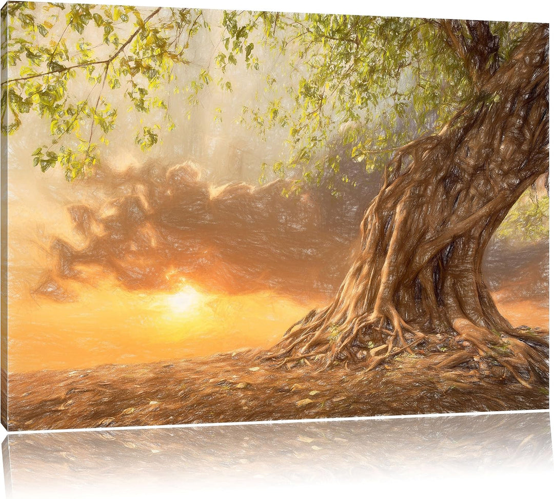 Pixxprint Verwurzelter starker Baum als Leinwandbild/Grösse: 100x70 / Wandbild/Kunstdruck/fertig bes