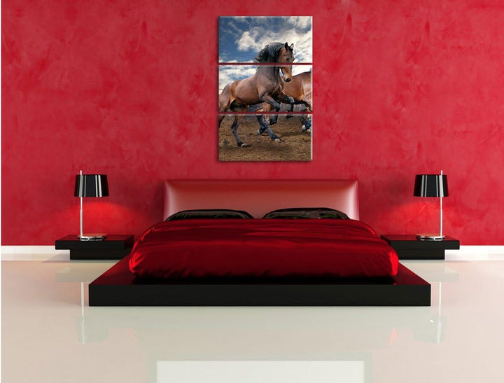 Pixxprint Wildpferde als Leinwandbild/Grösse: 3 Teilig (120x80) cm/Wandbild/Kunstdruck/fertig bespan