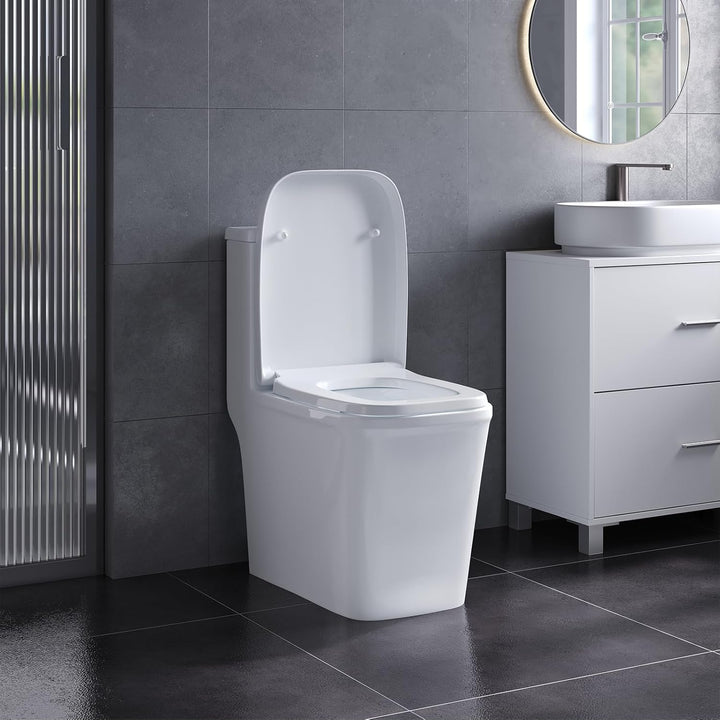 eSituro Toilettendeckel Klodeckel Wc Sitz mit Absenkautomatik Fast Fix/Schnellbefestigung Duroplast