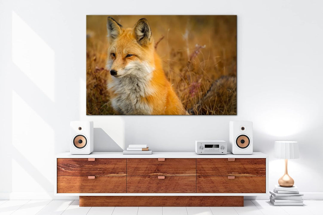 deyoli ruhiger Fuchs Format:75x50 cm als Leinwandbild, Motiv fertig gerahmt auf Echtholzrahmen, Hoch