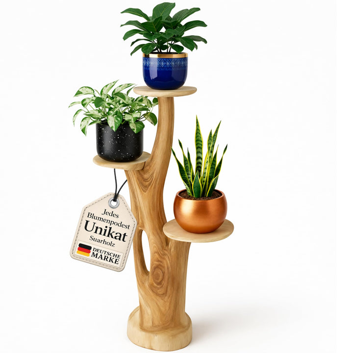 My-goodbuy24 Blumenständer Blumentreppe Blumenpodest Blumenhocker Pflanzen Blumen Treppe Holz Massiv