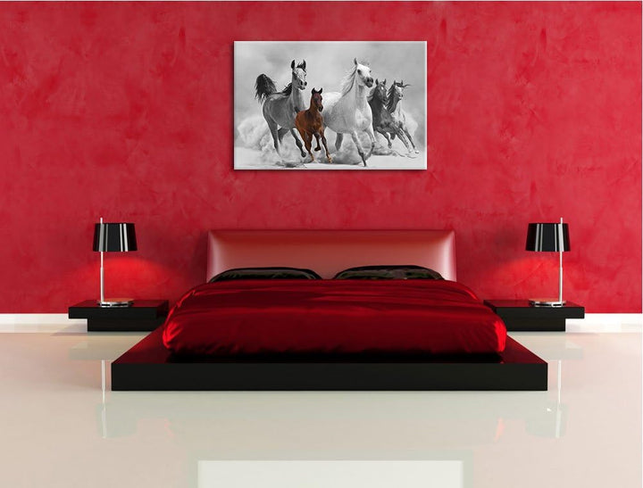 Mustangs in der Wüste mit Fohlen schwarz/weiss Format: 100x70 auf Leinwand, XXL riesige Bilder ferti