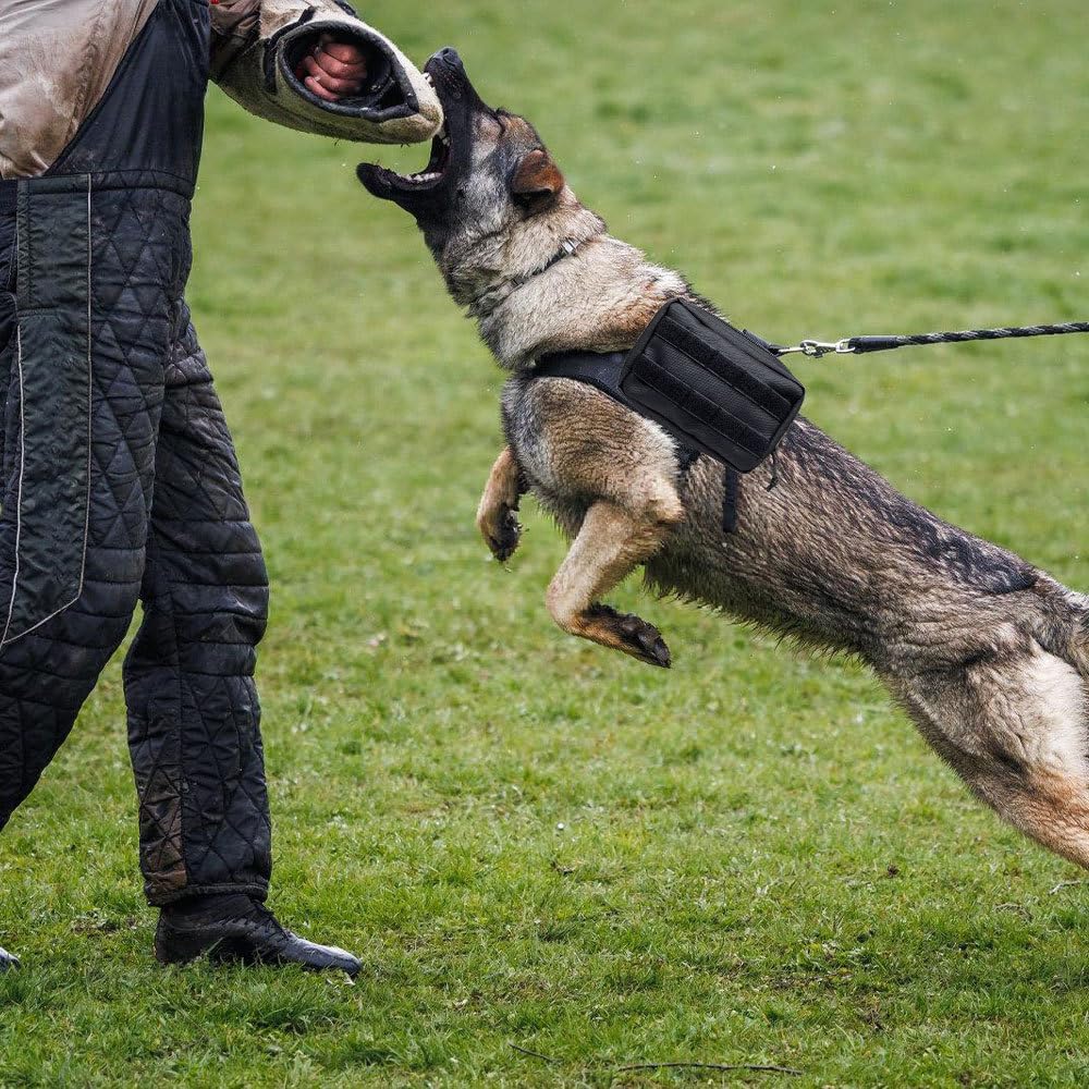 DONGKER Futterbeutel für Hunde, 1 Stuck Molle EDCTasche für Hundegeschirr, Pouch Zusatztasche für Hu