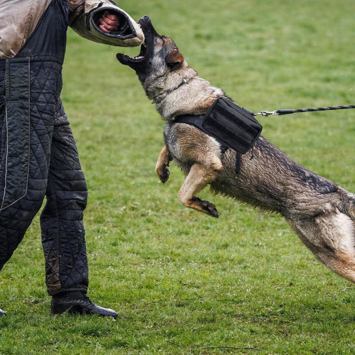 DONGKER Futterbeutel für Hunde, 1 Stuck Molle EDCTasche für Hundegeschirr, Pouch Zusatztasche für Hu