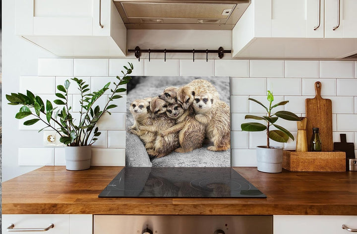 süsse Erdmännchen kuscheln Herdabdeckplatte & Spritzschutz aus Echtglas | Für Herd-Kochfelder | 60x5