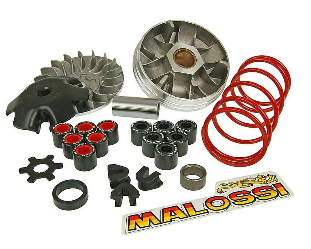 Variomatik MALOSSI Overrange - APRILIA Rally 50 LC Typ:TM