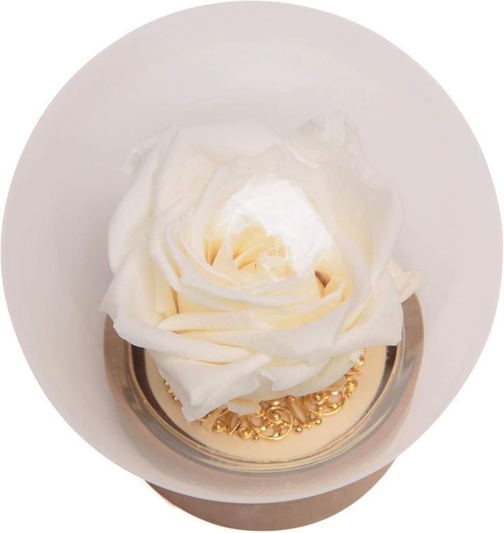 ROSEMARIE SCHULZ Heidelberg Infinity Rose im Glas echte langlebige Rose in Glaskugel rund (Large, We