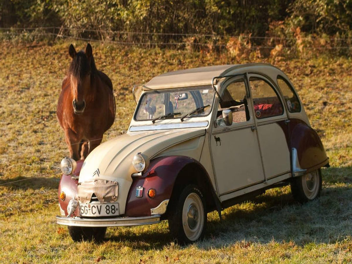 Puzzle · Citroën 2 CV Dolly mit Pferd 1000 Teile, 1000 Teile