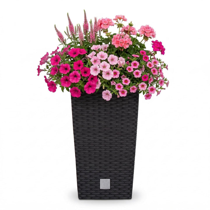 Prosperplast Blumentopf in Rattan-Optik Pflanzkübel mit Einsatz | 32,5 x 32,5 x 61 cm | anthrazit |