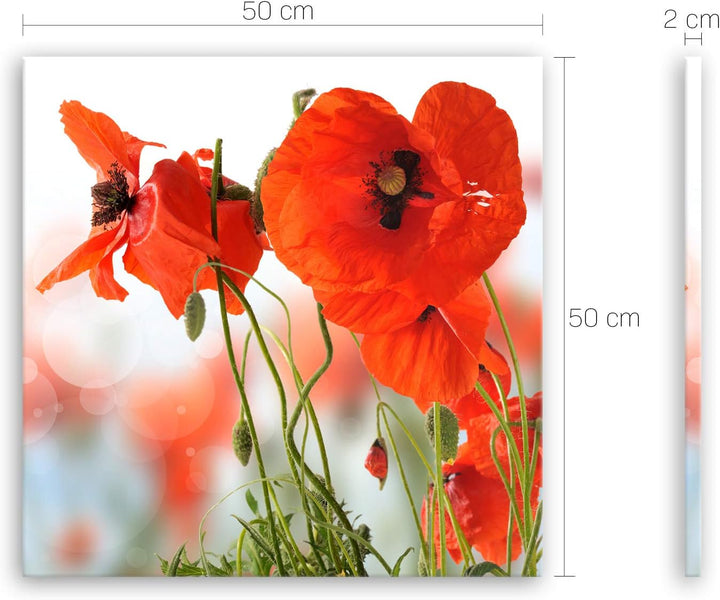 ge Bildet Bild auf Leinwand | Pflanzen Bilder - Mohn - Blumen Rot Natur in 50x50 cm als Wandbild | W