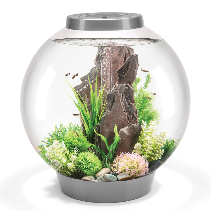 biOrb 72012 CLASSIC 60 LED silber - dekoratives Aquarium Komplett-Set mit Filter-System, LED-Beleuch