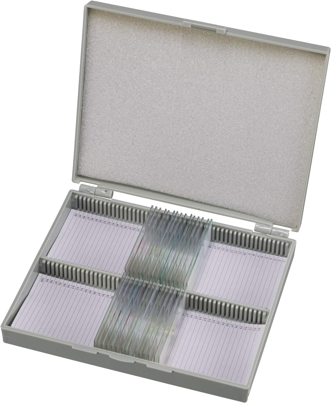 Bresser Dauerpräparate für Mikroskop (50-er Stück) & Mikroskop Objektträger/Deckgläser (50x/100x) 50
