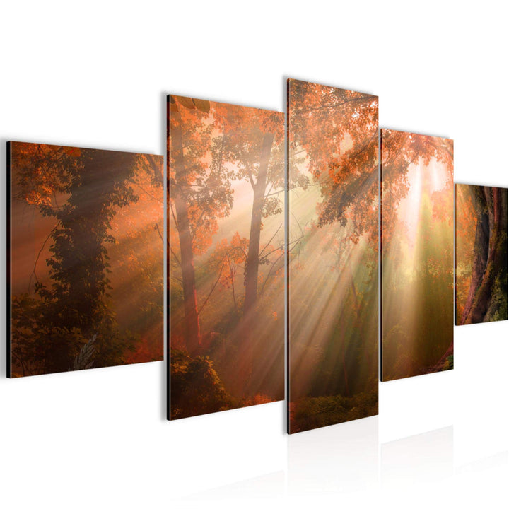 Runa Art Bild Schlafzimmer Wohnzimmer Wald Landschaft 5 Teilig Sonne Braun Wandbilder auf Vlies Lein