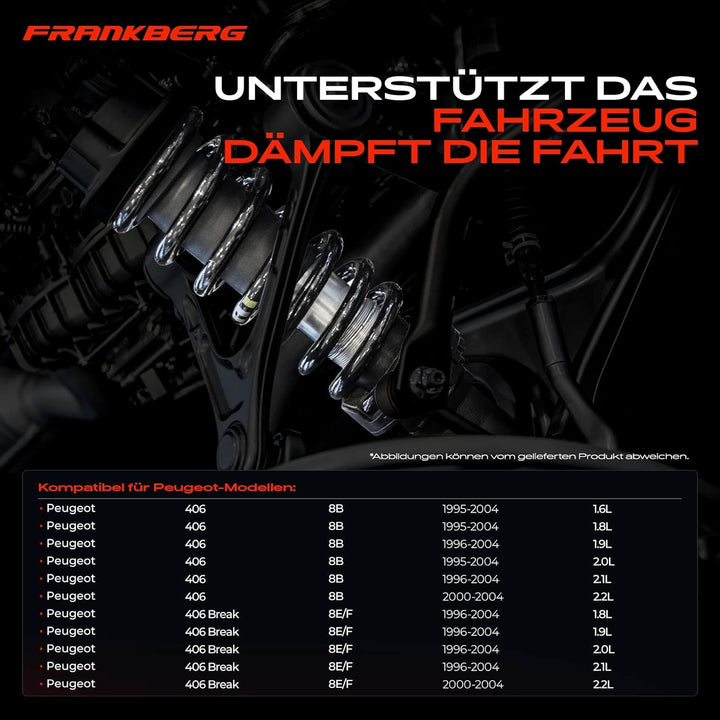Frankberg 2x Federn Fahrwerksfeder Hinterachse Links Rechts Kompatibel mit 406 8B 1995-2004 406 Brea