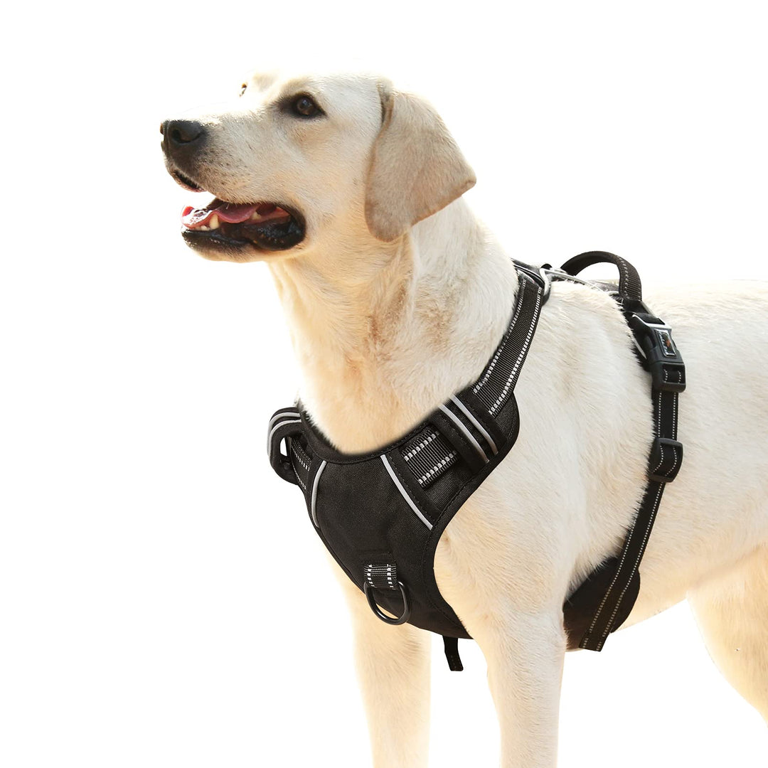 HEELE Hundegeschirr, No-Pull Hundegeschirr, Brustgeschirr für Mittelgrosse Hunde, Weich Atmungsaktiv