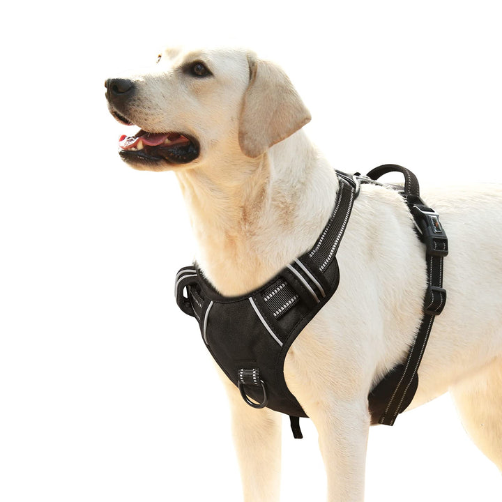 HEELE Hundegeschirr, No-Pull Hundegeschirr, Brustgeschirr für Mittelgrosse Hunde, Weich Atmungsaktiv