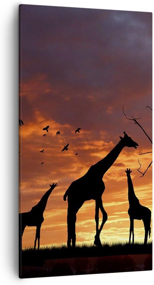 Bilder auf Leinwand 55x100cm Leinwandbild mit Rahmen Giraffe Afrika Sonne Safari Gross Wanddeko Bild