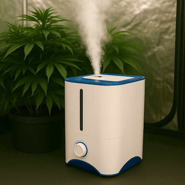 Fog Box V Luftbefeuchter 4 Liter - Grow Wohnung Vernebbler Verdampfer Pflanzen Mini Kinderzimmer Ter