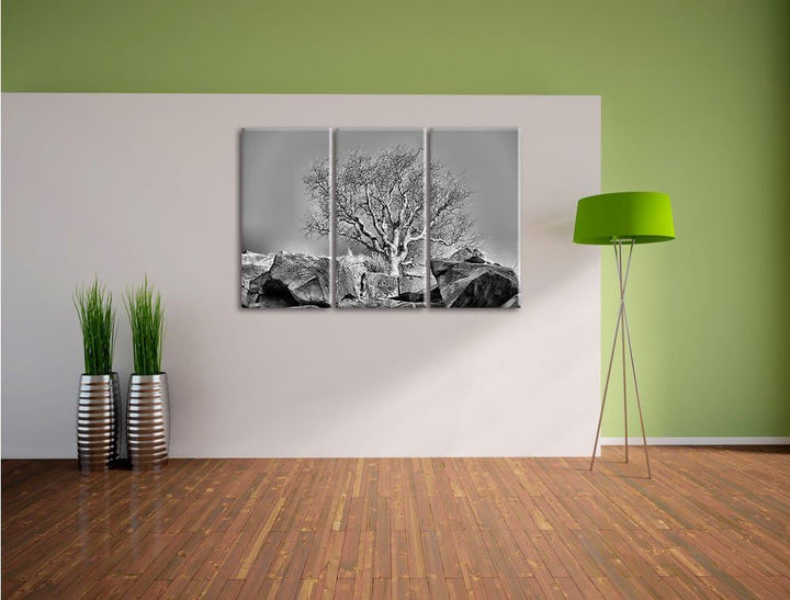 Pixxprint Monocrome, einsamer Baum im Gebirge 3-Teiler Leinwandbild 120x80 Bild auf Leinwand