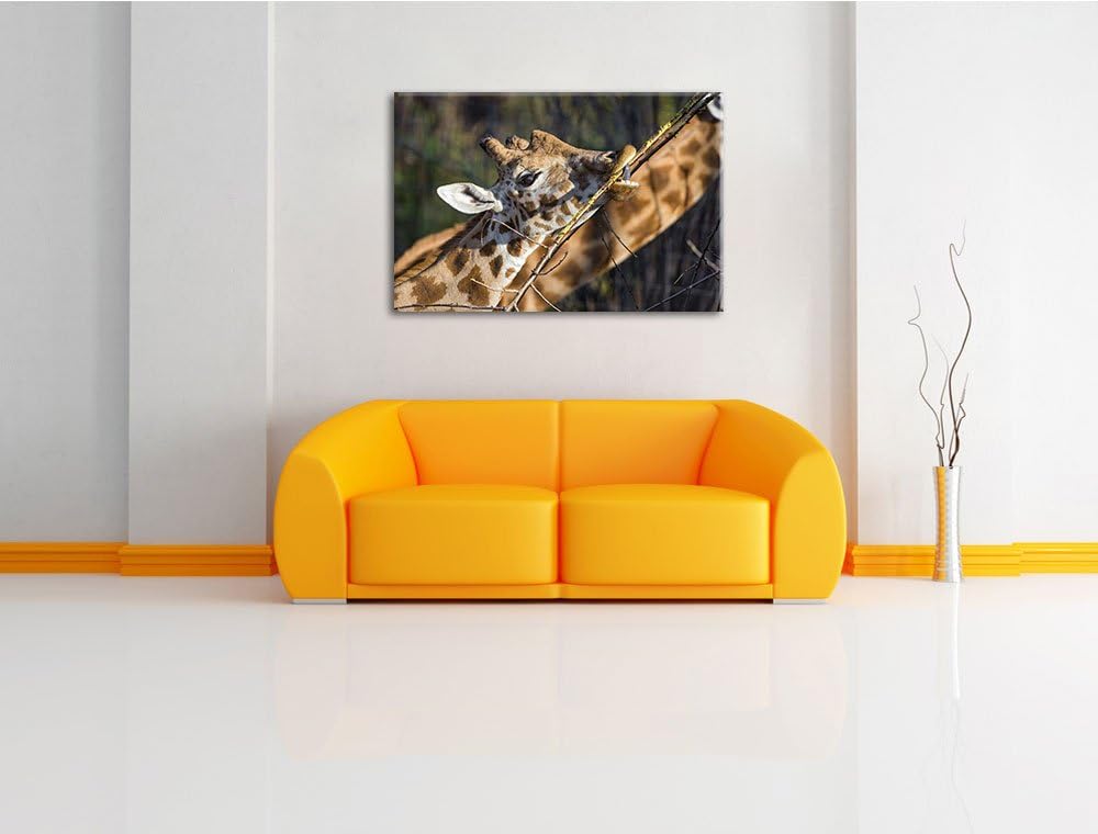 Pixxprint fressende Giraffe auf Leinwand, XXL riesige Bilder fertig gerahmt mit Keilrahmen, Kunstdru