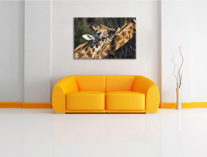 Pixxprint fressende Giraffe auf Leinwand, XXL riesige Bilder fertig gerahmt mit Keilrahmen, Kunstdru