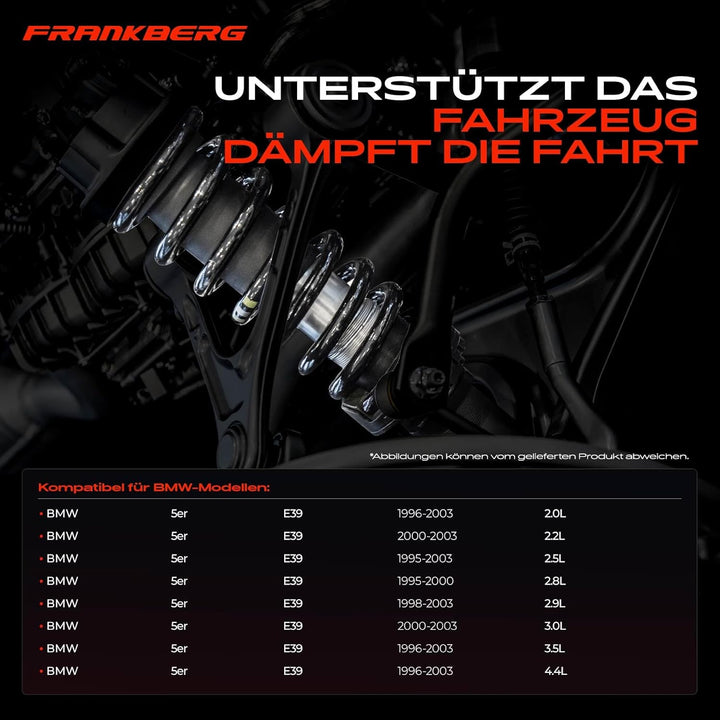 Frankberg 2x Federn Fahrwerksfeder Hinterachse Links Rechts Kompatibel mit 5er E39 520 523 525 528 5